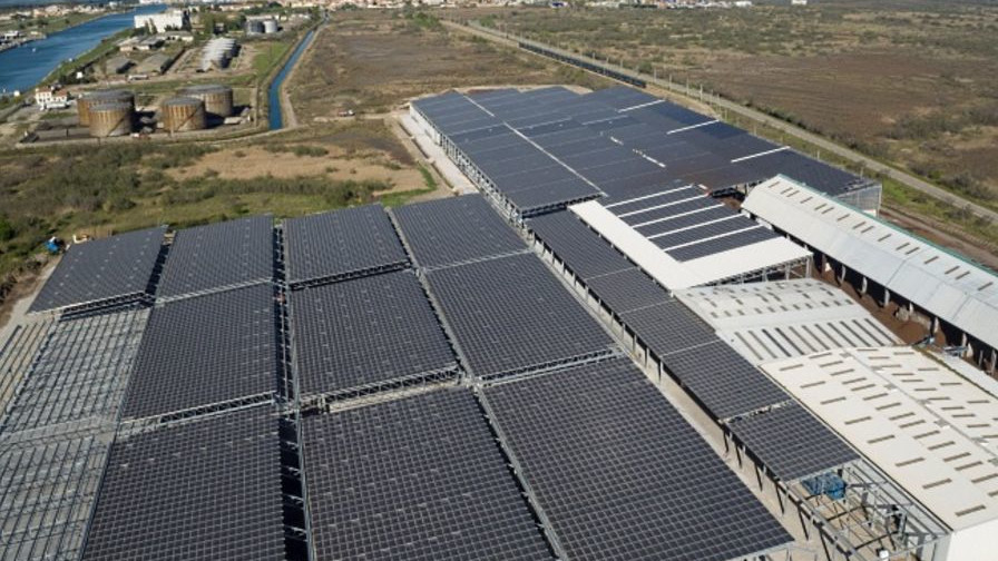 Die Solaranlage von Méditourbe in Port-Saint-Louis-Du-Rhône (©Cap Vert Energie) 